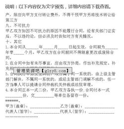 網(wǎng)絡(luò)技術(shù)服務(wù)技術(shù)轉(zhuǎn)讓合同